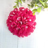 Dog Bloom Collar Flower 3.5” Hot Pink Polka Dot