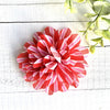 Dog Bloom Collar Flower 3 inch Valentine Stripe
