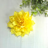 Dog Bloom Collar Flower 4" Bright Yellow Dahlia