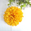 Dog Bloom Collar Flower 3.5” Sunflower