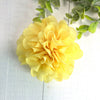 Dog Bloom Collar Flower 3.5” Lemon
